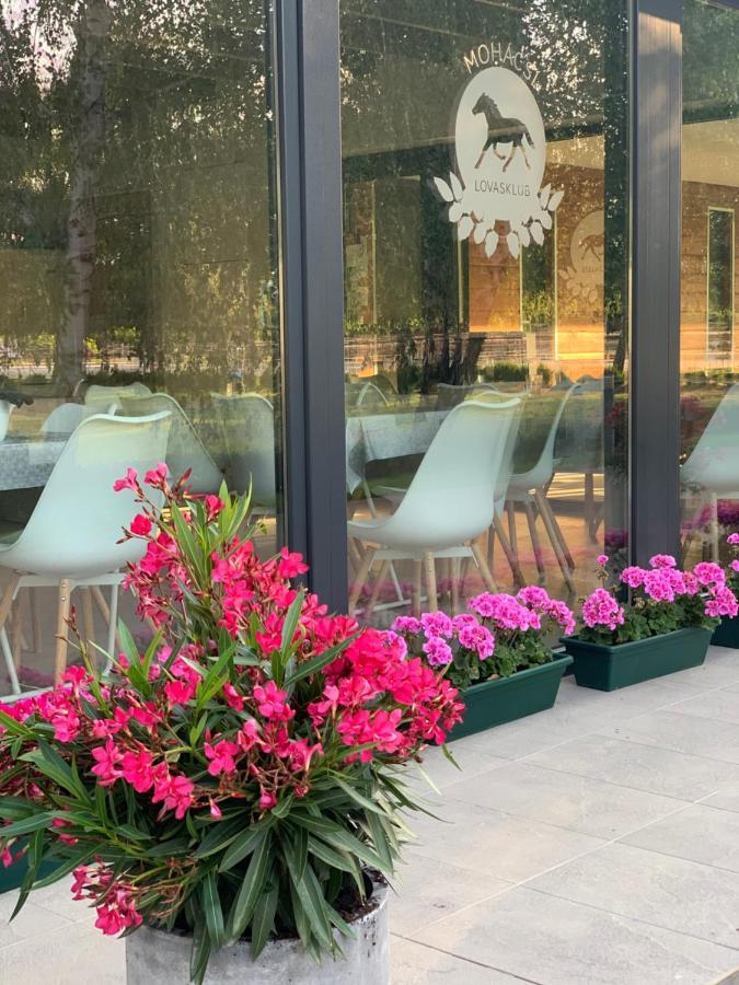 Mohacsi Wellness Vendeghaz Es Lovasklub Hotel Exterior photo